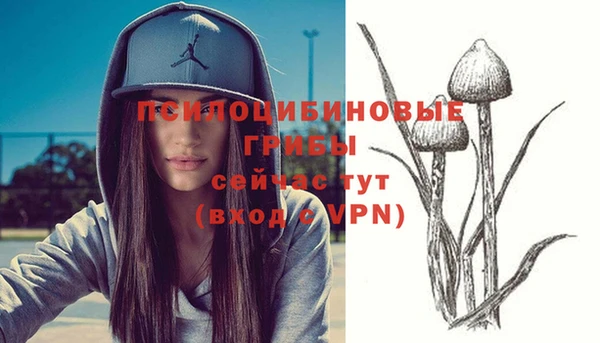метадон Армянск
