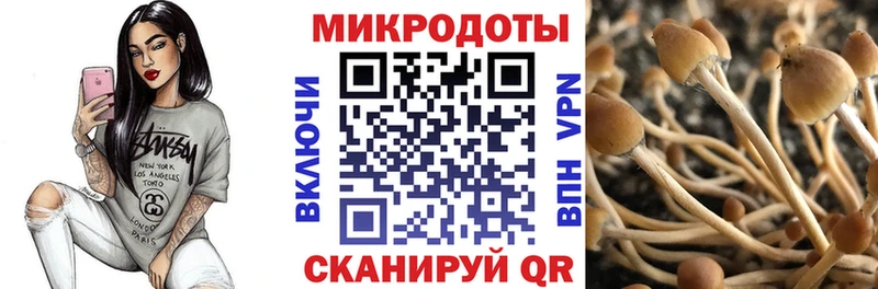 Галлюциногенные грибы мухоморы  Арсеньев 